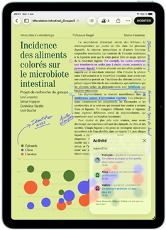 App Pages affichée sur un iPad Air